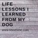 Ones dogs lessons about life